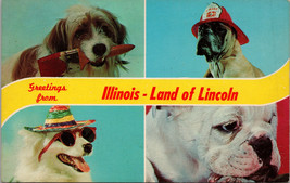 Greetings from Illinois- Land of Lincoln Postcard PC439 - £3.89 GBP