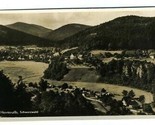 Herrenalb Schwarzwald Real Photo Postcard Germany 1930s - $11.88