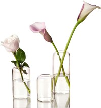 Small Cylinder Clear Glass Vase For Flowers Centerpieces, Modern Home Decor - $38.97