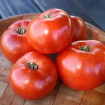 Best 50 Seeds First Prize Tomato Juicy Vegetable Planting Garden Tomatoe - $4.89