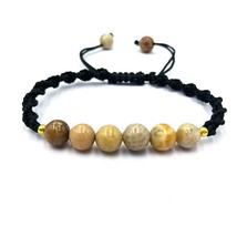 Natural Fossil Coral 8x8 mm Round Beads Handmade Thread Bracelet AB8-39 - £4.90 GBP