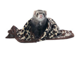 Marshall Designer Fleece Blanket for Small Animals - Luxury Fleece Nap B... - $13.95