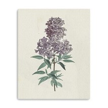 Singular Purple Blossom Branch Unframed Print Wall Art - $2,966.51 MXN