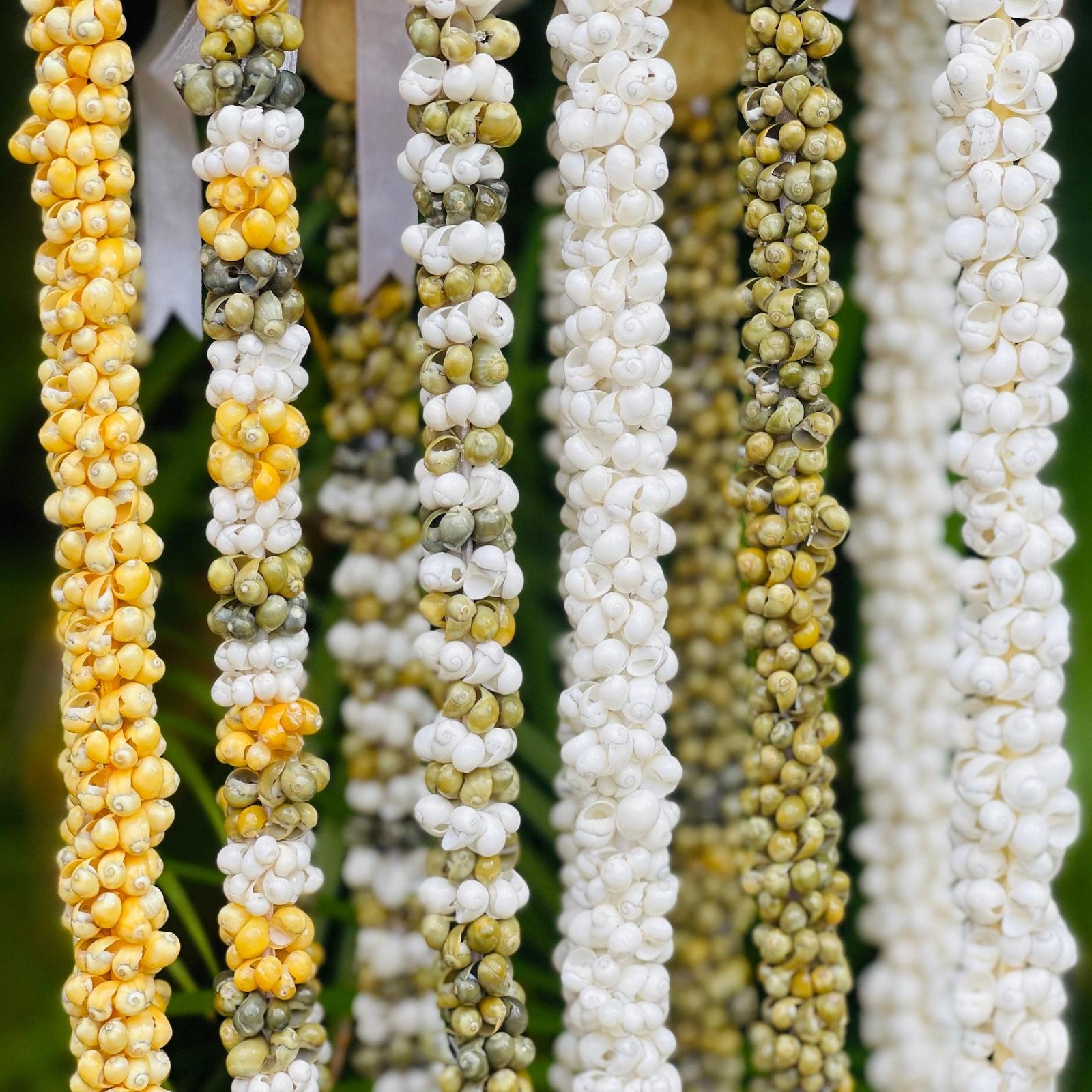 da Hawaiian Store Mongo Shell Lei Necklace (Choose color and 20" or 29")