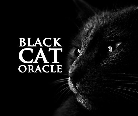 The Famous Black Cat Oracle Reading - Reveal Your Inner Hopes, Dreams and Wishes - $8.49