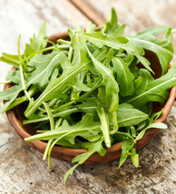 Astro Arugula Seeds Rocket Garden Green Salad Leaf Lettuce Vegetable Seed  - £4.74 GBP