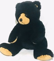 Ty Black Bear 12” Plush Stuffed Animal 2007 - $17.00
