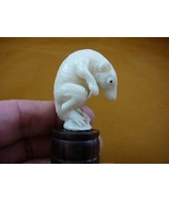 (tb-rat-4) little white Rat bend over Tagua NUT palm figurine Bali carvi... - $67.33 CAD