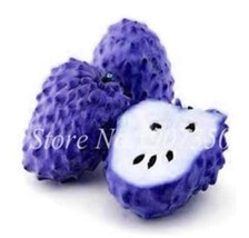 Graviola Annona Muricata Exotic Seeds Garden Fresh USA Store - $14.10