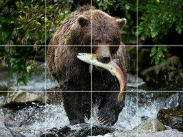 fishing grizzly bear cub salmon wildlife Ceramic Tile Mural Backsplash Medallion - £47.62 GBP+