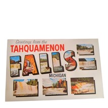 Postcard Greetings From The Tahquamenon Falls Michigan Chrome Unposted - £5.59 GBP