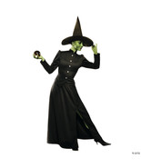 Classic witch adult medium - €87,41 EUR