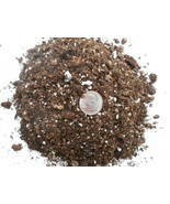 Quick Draining Potting Soil- for Gunnera/Giant Sequoia&amp; plants prone to ... - $14.80+