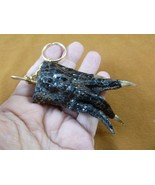 (G120-170) 3&quot; long Gator FOOT Keychain PAW ALLIGATOR TAXIDERMY med claw ... - $334.55 MXN