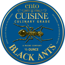 Culinary Quality Black Ants | Edible Insects | Bugs You Can Eat - £23.55 GBP