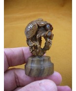 (tb-but-2) tan Butterfly on flower TAGUA NUT palm figurine Bali detailed... - $66.66 CAD