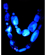 Uranum Necklace 26&quot;+ Czech Ultra Violet Glass Beads Glows Blue. Art Deco... - £36.37 GBP