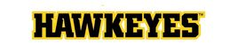 c NCAA College Logo Mascot Vintage 12x8in Metal Sign Iowa Hawkeyes - $24.74