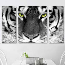 XXL 5D Diamond Painting - Tijger - £25.48 GBP