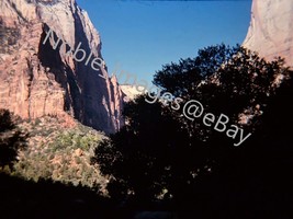 1962 Zion National Park Mountain Trees Utah Kodachrome 35mm Color Slide - $4.46