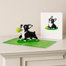 Dog with ball pop-up card 15cm x 20cm UK sales only - $10.00