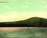 Panorama Of Canada Lake New York NY UNP 1910s DB Postcard - $3.91