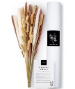 40 Pcs Dried Pampas Grass - 100% Natural 20&quot; Pompous Grass Perfect for Home - $19.79