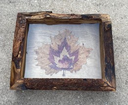 Maple leaf collage shadow box - $130.00