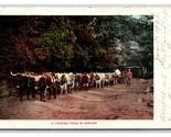 Logging Train of Oxen Oregon OR UDB Postcard O17 - $3.91