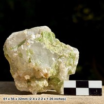 Green Tourmaline in Quartz - Pakistan | 100% Genuine Specimen + COA - £30.79 GBP