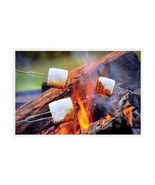 Open Flame Roasting Extendable Marshmallow Fork, Plastic &amp; Stainless Ste... - $167.22