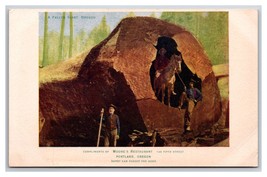 Lumberjacks Fallen Giant Tree Moore&#39;s Restaurant Portland OR UNP DB Postcard L19 - £12.42 GBP