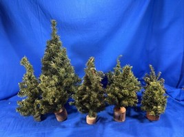 Lot Of 9 Christmas Village Pine Trees In Various Sizes. - £11.31 GBP