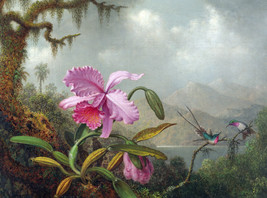 FRAMED CANVAS Art print giclee martin johnson heade orchids and hummingbirds - £31.74 GBP+