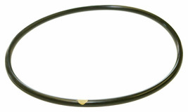 Hayward CLX200K Pool Chlorinator Lid O-Ring for CL200/CL220 - £33.99 GBP