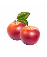 2 Apples Decal - 14&quot; tall x 14&quot; wide - $209.08 MXN