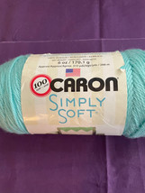 Caron Simply Soft Worsted Wt Acrylic Yarn clr Robins Egg - 6oz skein - £3.19 GBP