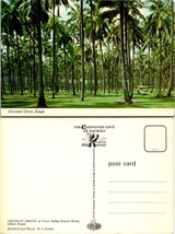 Hawaii Kauai Lihue Coco Palms Resort Hotel Coconut Grove Palm Trees VTG Postcard - £7.37 GBP
