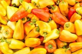 25 + Seeds  Gypsy Pepper Garden Fresh Vegetables Healthy Planting Edible Food Fr - $8.94