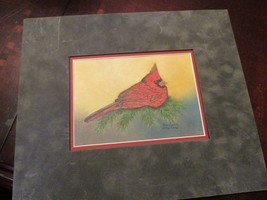 Mariann Stephens Cardinal Color Etching Originalpainting Signed,Not Framed, 6X4&quot; - £35.20 GBP