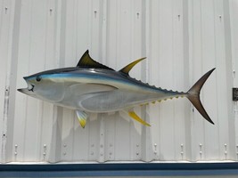 48&quot; Yellowfin Tuna Two Sided Fish Mount Replica  - Quick Production - £357.16 GBP