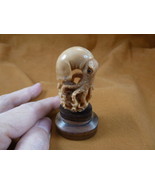 (tb-squid-5) little tan reef Squid TAGUA NUT palm figurine Bali carving ... - £33.53 GBP