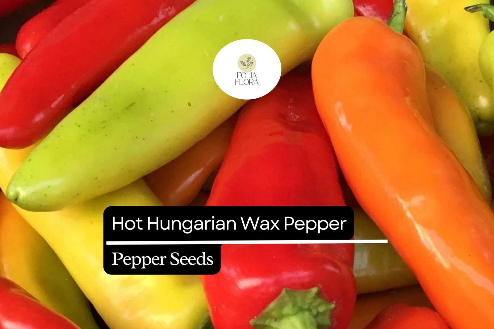 25 Hot Hungarian Wax Pepper Seeds – Capsicum annuum – Heirloom, Spicy &amp; ... - $5.14