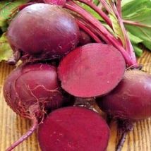 100 Seeds RUBY QUEEN BEETS Heirloom Organic Non-Gmo Sprouts Garden / Container - £12.98 GBP
