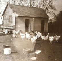 1904-1918 RPPC Chicken Coop Shack Feeding Farm Nebraska? Real Photo Postcard AZO - £11.00 GBP
