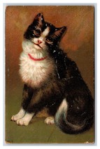 Adorable Cat Big Eyes Collar 1910 DB Postcard B18 - £6.56 GBP