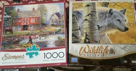 2 Puzzle 1000 Pieces Each Lot - $39.99