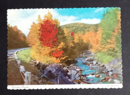 Autumn Roads Pocono Mountains PA Fall Foliage Scalloped Dexter Postcard 1950s - £3.13 GBP