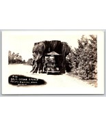 RPPC Giant Cedar Stump Snohomish Washington WA UNP Webber Photo Postcard K3 - $90.96 MXN