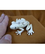 FROG-W33) Frog with baby shed ANTLER figurine Bali detailed amphibian lo... - $132.95